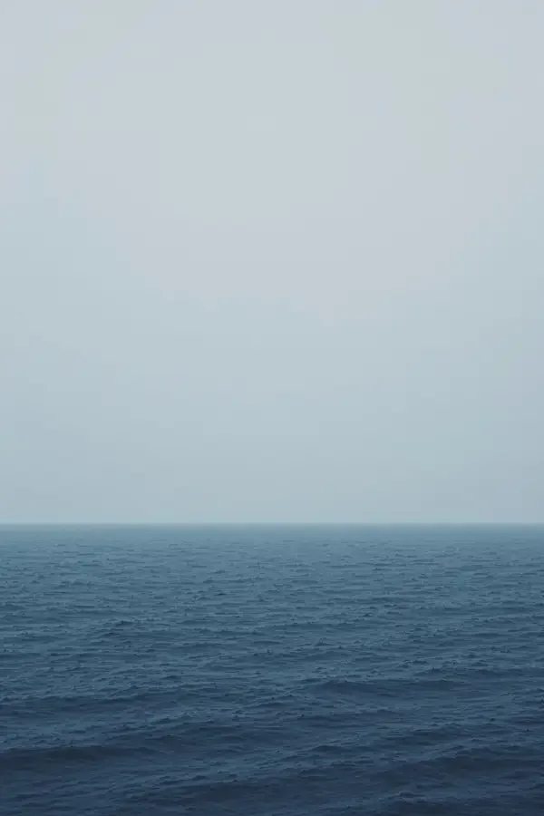 失语的海 电影海报